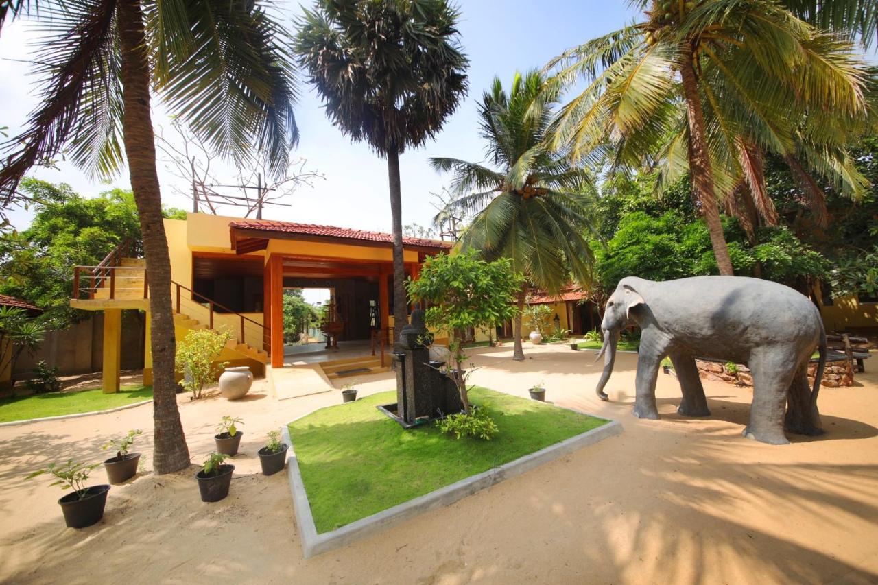 Horizon Kitesurfing Beach Resort Kalpitiya Eksteriør billede