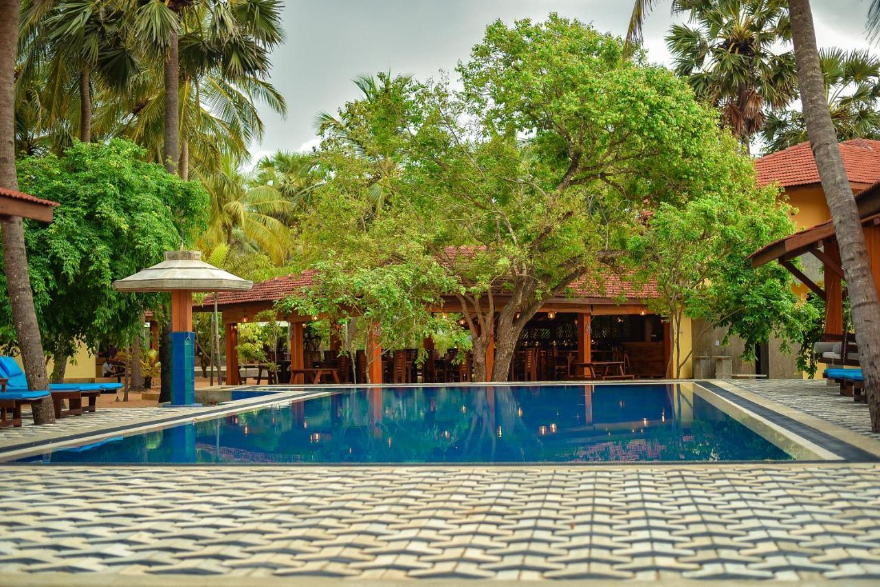 Horizon Kitesurfing Beach Resort Kalpitiya Eksteriør billede